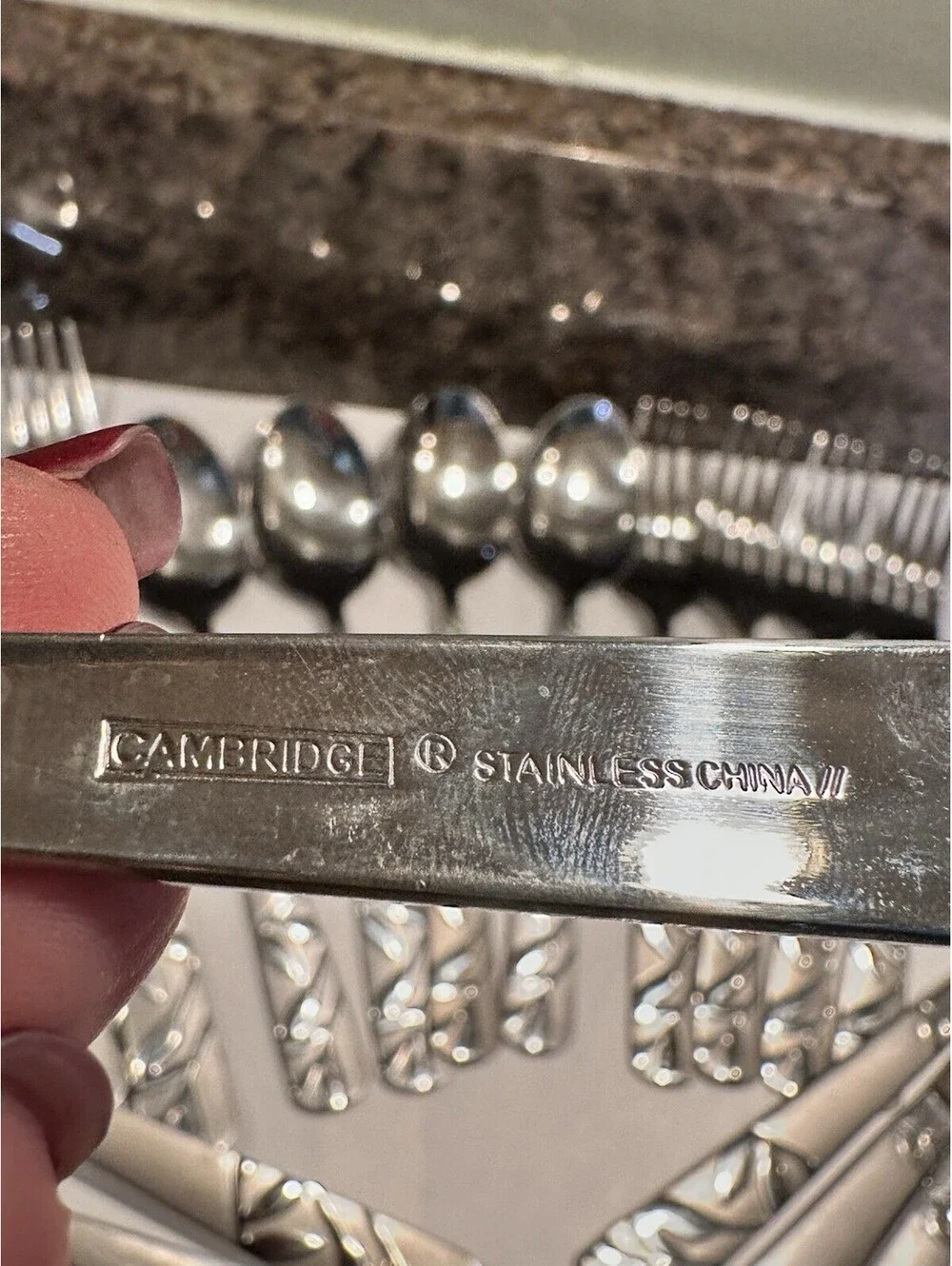 Cambridge 20-Piece Stainless Steel Flatware Set Service for 4 Leaf Pattern